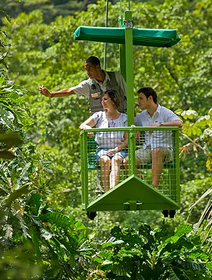 Local tourists will be able to learn about Gamboa and the incredible rainforest just outside Panama City.