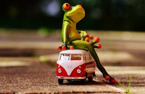 frog sitting on volkswagen